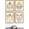 Homeroots Set Of Four Folk Flourish Gold Framed Print Wall Art, 4PK 525944 - alternate 3