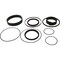 Caterpillar SEAL KIT, CATERPILLAR OEM 110601 110601 - alternate 1