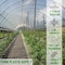 Farm Plastic Supply Clear Greenhouse Plastic Sheeting, 6 mil, 16' x 100' Z-GHPS6Mil9021 - alternate 2