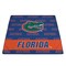 Picnic Time Family Of Brands NCAA Florida Gators Impresa Picnic Blanket - Lightweight Beach Blanket - Machine Washable 819-01-999-166-0 - alternate 3