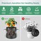 Ipower InfiniPower 7 Gallon Plant Grow Bags, 400G Thick Nonwoven Fabric Pots, 5PK GLGROWBAG7X5GRY - alternate 5