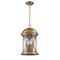 Homeroots Lincoln 4-Light Antique Brass Hanging Light 397955 - alternate 1
