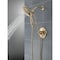 Delta Saylor Monitor 17 Series Shower Trim with In2ition T17235-CZ-I - alternate 6