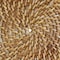 Martha Stewart 14 Inch Rattan Woven Circular Placemat in Brown 76605.01 - alternate 4