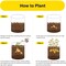 Ipower Potato Grow Bags with Flap 7 Gallon, Garden Planting Pot with Durable Handle, 6PK GLGROWBAGWINDOW7X6 - alternate 5