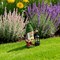 Techko Gartenlicht Greta Outdoor Solar Lantern Gnome Garden Statue with Integrated LED Lantern, 4PK SG-826-4PK - alternate 9