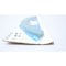 Dresser-Rand SHOE THRUST R20591P4 - alternate 5
