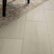 Ackland Sample Parkland Sandy Haze Waterproof Rigid Core Luxury Vinyl Plank Flooring AKVRCSAHA9X60-5012-SM - alternate 5