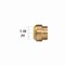 Proline Series 1-in PF Brass Push Fit Cap 6633-005 - alternate 4