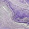 Homeroots 8' Purple And Ivory Round Abstract Washable Indoor Outdoor Area Rug 617604 - alternate 7