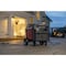 Honda Portable Generator, Gasoline, 5,500 W Rated, 7,000 W Surge, Electric, Recoil Start, 120/240V AC EU70001AN - alternate 5
