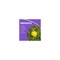 Bonide Products KleenUp he Weeds and Grass Killer, Liquid, Amber/Light Brown, 1 qt 753 - alternate 7
