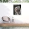 Trademark Fine Art Outdoor Canvas Art - David Stribbling 'white tiger cub portrait' Wall Art for Patios, or Gardens GRL01600-OC2432WR - alternate 5