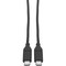 Tripp Lite USB 2.0 Cable USB Type C to USB C 3A Rating, USB-IF Cert M/M 3ft U040-C03-C - alternate 1