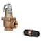 Watts Relief valve 1 174A 050 FS - alternate 1