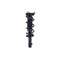 Fcs Struts Suspension Strut And Coil Spring Assembly 1337233L - alternate 5