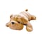 Bouncybands Happy Hugs Sensory Weighted Plush Bulldog LPBD - alternate 1