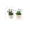 Monarch Specialties Artificial Plant, 9-in. Tall, Succulent, Table, Beige Cement Pots, Contemporary, Modern, 2PK I 9365 - alternate 3