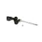Kyb Gas Strut,  339057 - alternate 4