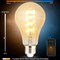 Homevenus Smart Edison Bulbs A67 E26 6W Dimmable Tunable Warm White 2100-5000K APP Control, 4PK SY-TF2CA67-04 - alternate 4