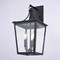 Vaxcel Cottage Grove, 21 in H, Black Outdoor Wall Sconce, 3-Light, Clear Glass T0818 - alternate 5