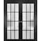 Sartodoors Sliding French Double Pocket Doors Frosted Glass 12 Lites, Felicia 3312 Matte Black, Kit Trims Rai FELICIA3312DP-BLK-4884 - alternate 1