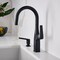 Blanco Rivana Bar 1.5 GPM, Matte Black 443021 - alternate 4