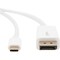 Rocstor 10 FT USBC TO DISPLAYPORT CBL Y10C241-W1 - alternate 4