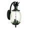 Homeroots Matte Black Hanging Pineapple Wall Light 398404 - alternate 5