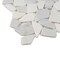 Apollo Tile Gray 11 x11 Thassos, Bianco Carrara Marble Polished Floor and Wall Mosaic Tile 4.2 sqft/case, 5PK APLDC88PB2A - alternate 10