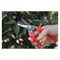 Ars Pruning Shears, High Carbon Steel Soft PVC / Steel Core Handle, Soft PVC Grip, 7 in Tool L HP-140DX-R - alternate 4