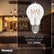 Bulbrite LED Filament 5W, Dimmable A19, Clear Glass, E26 Base, 2100K, 350 Lm, 4PK 862866 - alternate 4