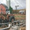 Homeroots Set Of Two Farm Life White Framed Print Wall Art, 2PK 407959 - alternate 4