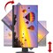 Planar PZN2410 24in monitor, black FHD IPS LED LCD, narrow bezel, VGA, HDMI, DP, speakers, USB Hub,  998-1443-00 - alternate 4