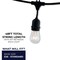 Bulbrite 48-foot String Light Kit with Clear Vintage Style S14 Incandescent Light Bulbs, 2-pk 862822 - alternate 10