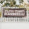 Signmission Farm Fresh Blackberries, 18 Inch x 48 Inch, Vinyl Banner B-30579 - alternate 2