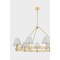 Hudson Valley Lighting Howard 9 Light Chandelier in Aged Brass by Mark D. Sikes MDS1801-AGB - alternate 6