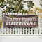 Signmission Farm Fresh Blackberries, 24 Inch x 72 Inch, Vinyl Banner B-72-30579 - alternate 5