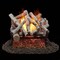 Bluegrass Living Vented Natural Gas Fireplace Log Set - 18 in. Birch Wood, 45,000 BTU, Match Light BVL18-2 - alternate 1