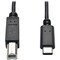 Tripp Lite USB 2.0 Cable, Hi-Speed, Type B-C, M/M, 6ft U040-006 - alternate 1