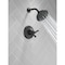 Delta Dorval Monitor 17 Series Shower Trim T17256-BL - alternate 3