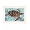 Homeroots Sea Turtles Collage 1 White Framed Print Wall Art 407867 - alternate 1