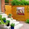 Trademark Fine Art Outdoor Canvas Art Jean Francois 'Dog Family on Red Truck' Wall Art for Patios, or Gardens GRL00491-OC2424WR - alternate 7