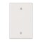 Leviton PJ13-I Blank Wallplate, 3-1/8 in L, 4-7/8 in W, 1/4 in Thick, 1 -Gang, Nylon, Ivory, Box Mounting R51-0PJ13-00I - alternate 1
