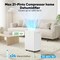 Edendirect 21 pt. 2,000 sq. ft. Portable Dehumidifier for Home with Drain Hose, Bucket in White, Cloth Dry ZROL07-D008A - alternate 6