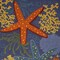 Homeroots 6' X 9' Orange Green And Blue Indoor Outdoor Area Rug 527627 - alternate 6