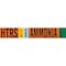Brady HTRS LIQVAP AMMONIA LOW Pipe Marker, 2.25in H x 14in W, Fits Pipes 2.5in Dia. Thru 7.875in Dia. 145851 - alternate 1