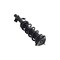 Fcs Struts Suspension Strut And Coil Spring Assembly 1335989L - alternate 4