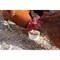 Wonder Garden Grub 6 Lb. Feed Supplement PH570 - alternate 1