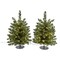 Celebrations LED Warm White Walkway Cascade 24 in. Christmas Tree 24-01017A - alternate 1